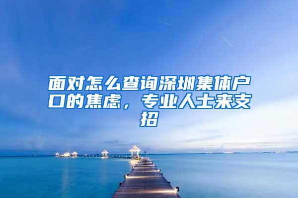 面对怎么查询深圳集体户口的焦虑，专业人士来支招