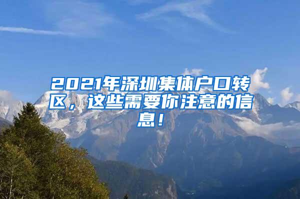 2021年深圳集体户口转区，这些需要你注意的信息！