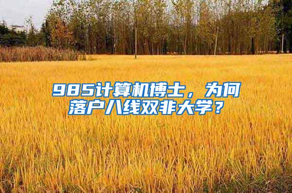 985计算机博士，为何落户八线双非大学？