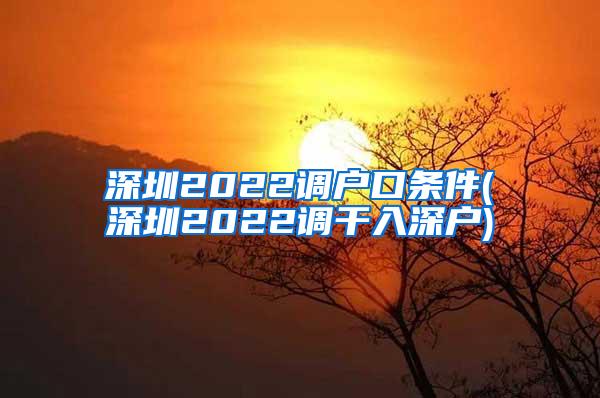 深圳2022调户口条件(深圳2022调干入深户)