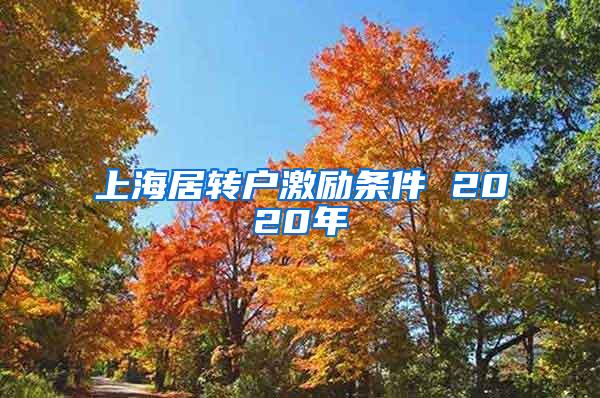 上海居转户激励条件 2020年