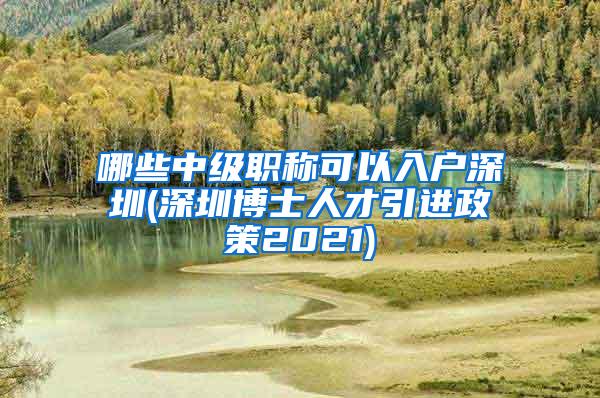 哪些中级职称可以入户深圳(深圳博士人才引进政策2021)