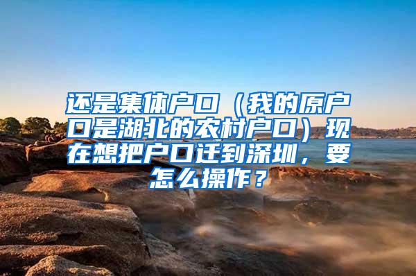 还是集体户口（我的原户口是湖北的农村户口）现在想把户口迁到深圳，要怎么操作？