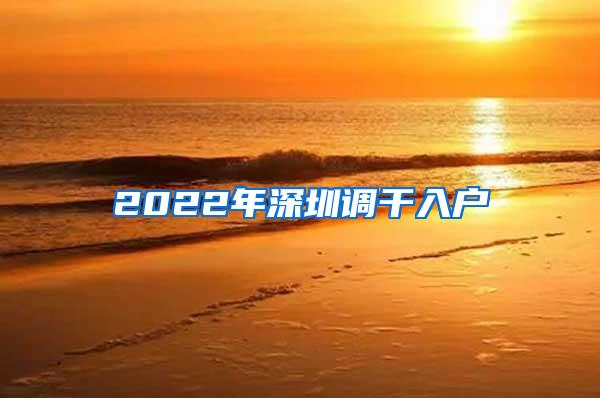 2022年深圳调干入户