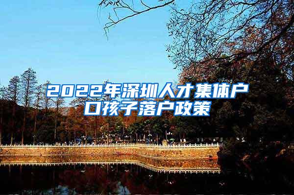 2022年深圳人才集体户口孩子落户政策