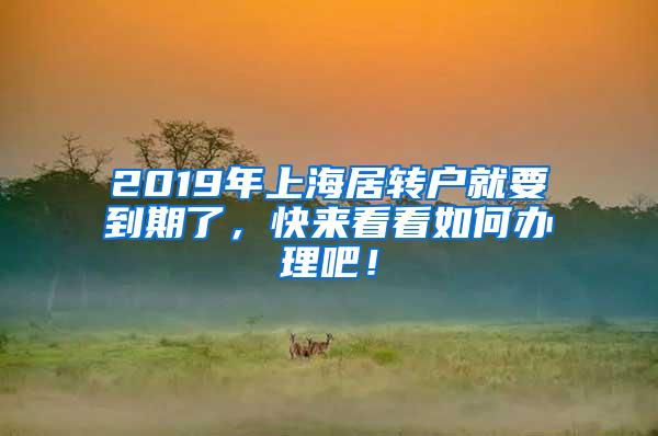 2019年上海居转户就要到期了，快来看看如何办理吧！