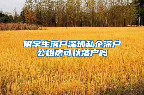 留学生落户深圳私企深户公租房可以落户吗