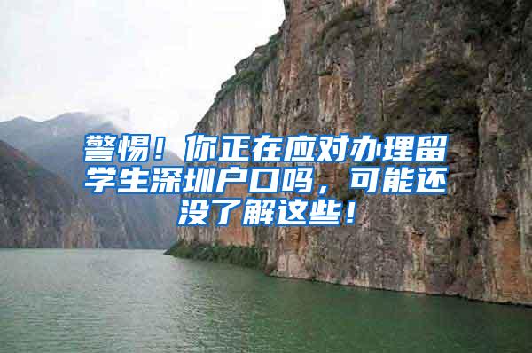 警惕！你正在应对办理留学生深圳户口吗，可能还没了解这些！