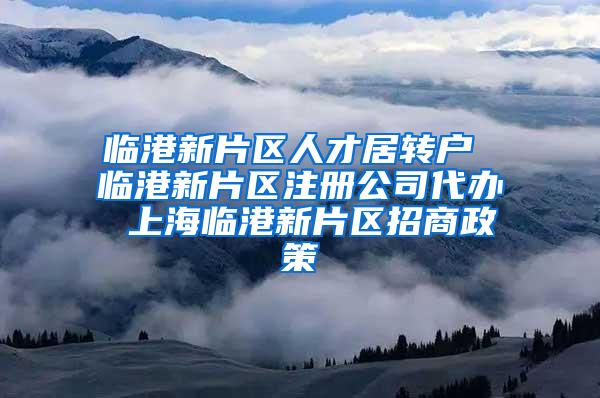 临港新片区人才居转户 临港新片区注册公司代办 上海临港新片区招商政策