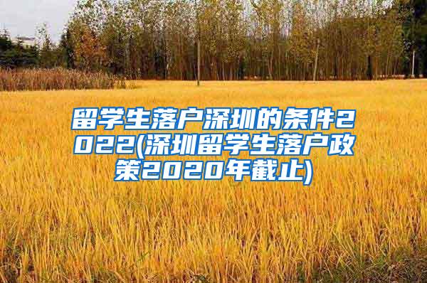 留学生落户深圳的条件2022(深圳留学生落户政策2020年截止)