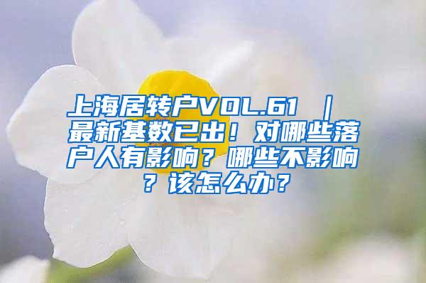 上海居转户VOL.61 ｜ 最新基数已出！对哪些落户人有影响？哪些不影响？该怎么办？