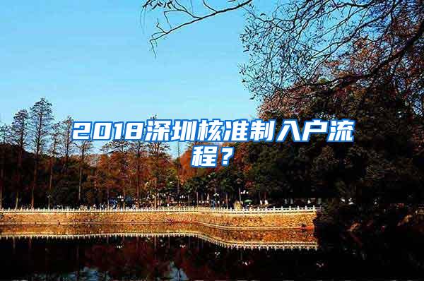 2018深圳核准制入户流程？