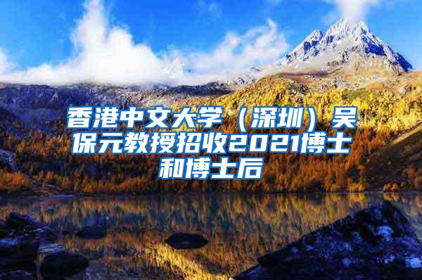 香港中文大学（深圳）吴保元教授招收2021博士和博士后