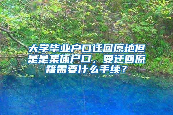 大学毕业户口迁回原地但是是集体户口，要迁回原籍需要什么手续？