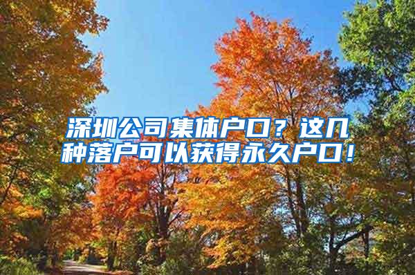 深圳公司集体户口？这几种落户可以获得永久户口！