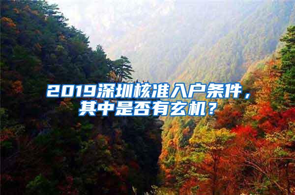 2019深圳核准入户条件，其中是否有玄机？