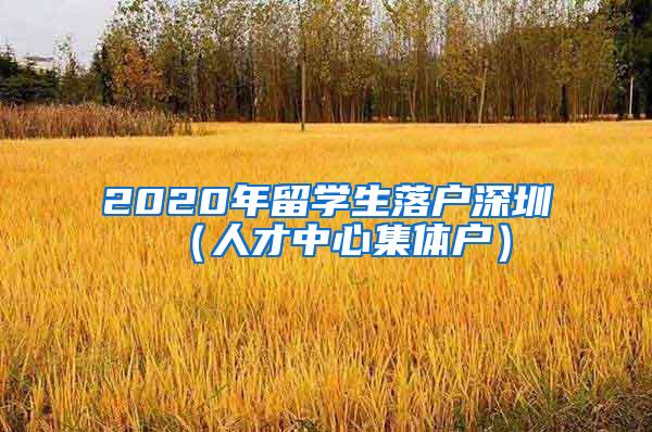 2020年留学生落户深圳（人才中心集体户）