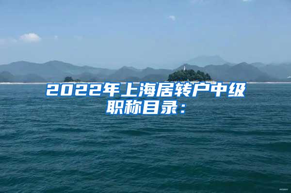 2022年上海居转户中级职称目录：