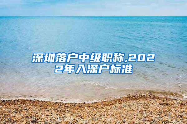 深圳落户中级职称,2022年入深户标准