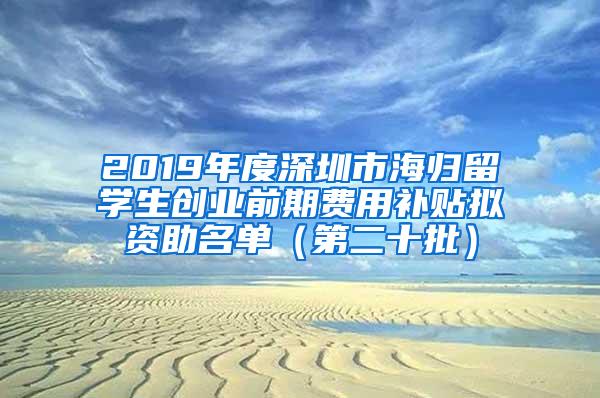 2019年度深圳市海归留学生创业前期费用补贴拟资助名单（第二十批）