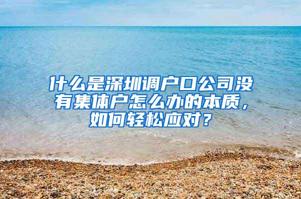 什么是深圳调户口公司没有集体户怎么办的本质，如何轻松应对？