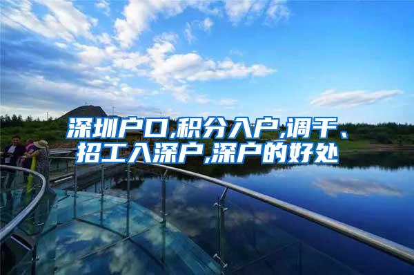 深圳户口,积分入户,调干、招工入深户,深户的好处