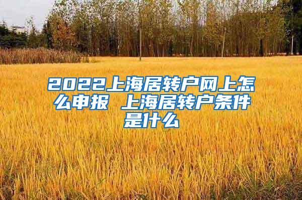 2022上海居转户网上怎么申报 上海居转户条件是什么