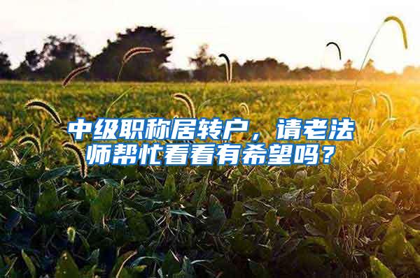 中级职称居转户，请老法师帮忙看看有希望吗？