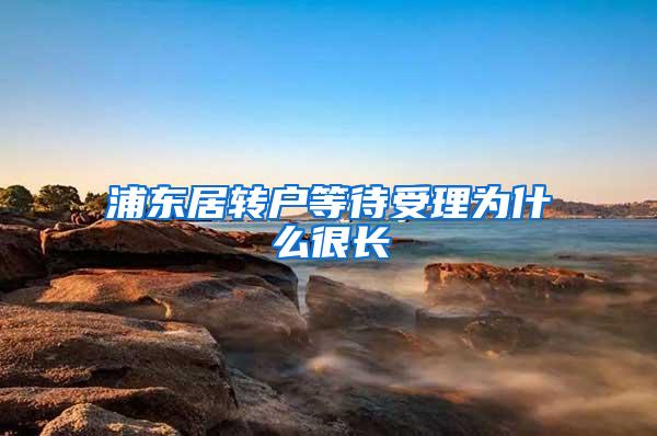 浦东居转户等待受理为什么很长