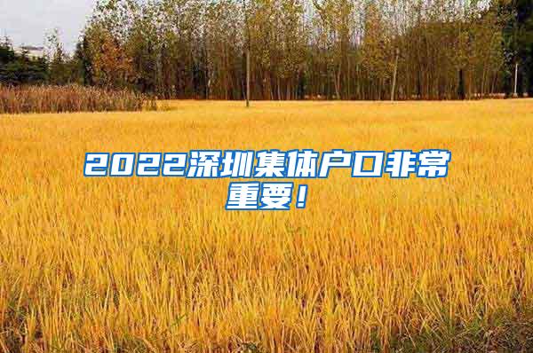 2022深圳集体户口非常重要！