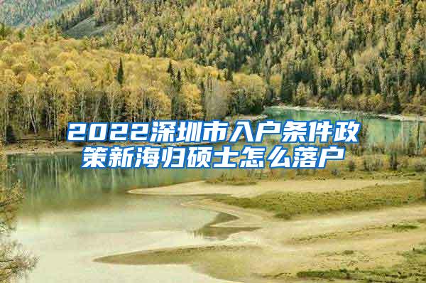 2022深圳市入户条件政策新海归硕士怎么落户