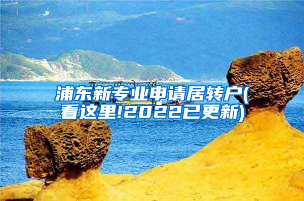 浦东新专业申请居转户(看这里!2022已更新)