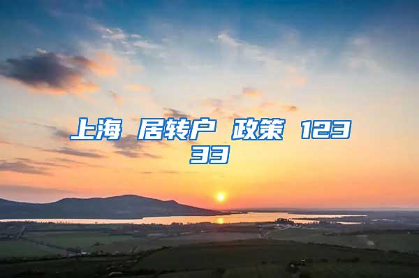 上海 居转户 政策 12333