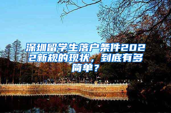 深圳留学生落户条件2022新规的现状，到底有多简单？