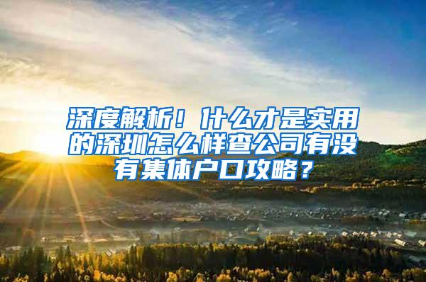 深度解析！什么才是实用的深圳怎么样查公司有没有集体户口攻略？