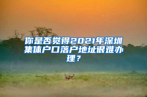 你是否觉得2021年深圳集体户口落户地址很难办理？