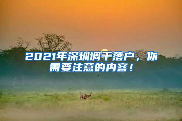 2021年深圳调干落户，你需要注意的内容！