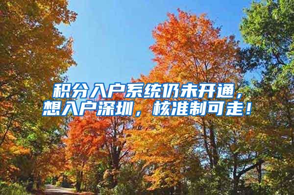 积分入户系统仍未开通，想入户深圳，核准制可走！