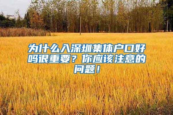 为什么入深圳集体户口好吗很重要？你应该注意的问题！