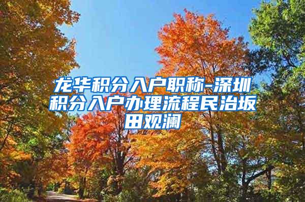 龙华积分入户职称-深圳积分入户办理流程民治坂田观澜