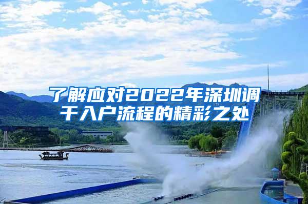 了解应对2022年深圳调干入户流程的精彩之处