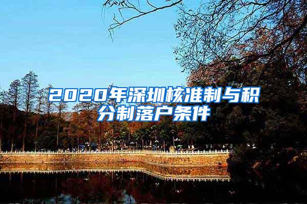 2020年深圳核准制与积分制落户条件