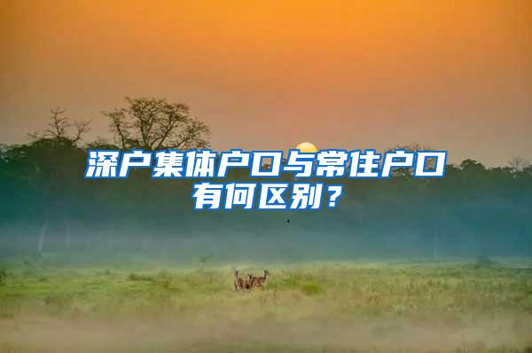 深户集体户口与常住户口有何区别？