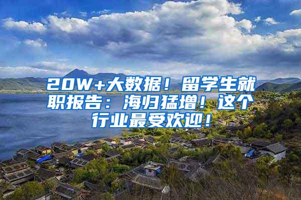 20W+大数据！留学生就职报告：海归猛增！这个行业最受欢迎！