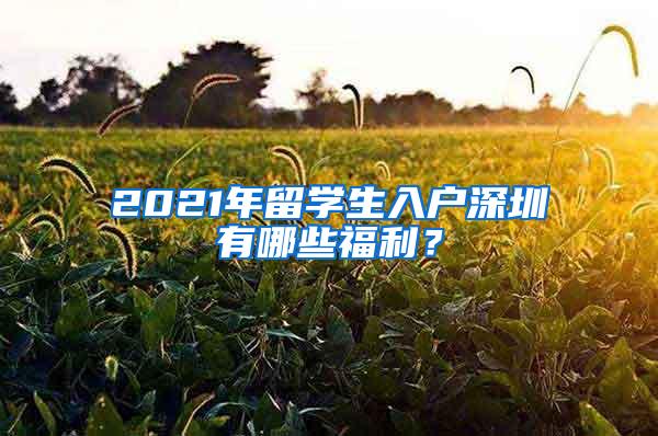 2021年留学生入户深圳有哪些福利？