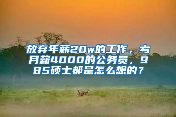 放弃年薪20w的工作，考月薪4000的公务员，985硕士都是怎么想的？