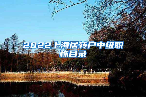 2022上海居转户中级职称目录