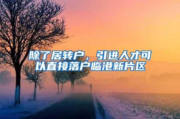 除了居转户，引进人才可以直接落户临港新片区