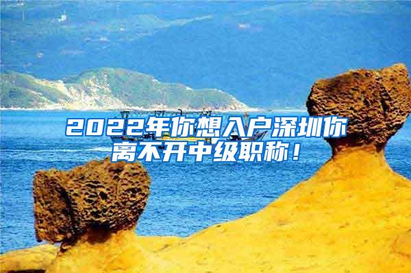 2022年你想入户深圳你离不开中级职称！