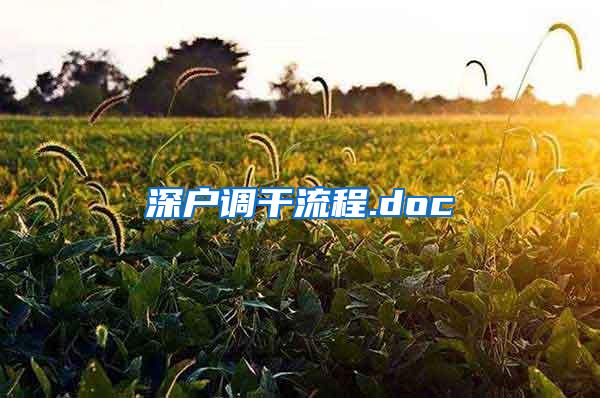 深户调干流程.doc